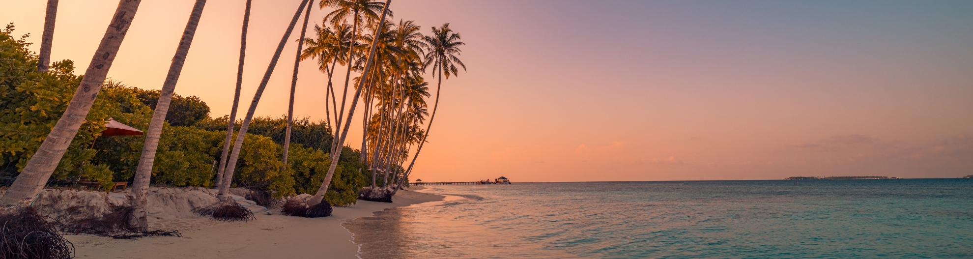 Tropical Island Beach Landscape Sunset